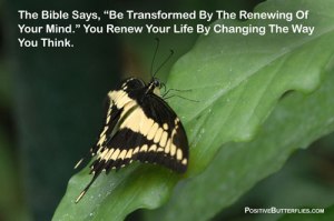 Renewing-your-mind